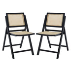 Ensemble de 2 chaises de salle à manger pliantes en rotin avec dossier en maille, style aéré et élégant